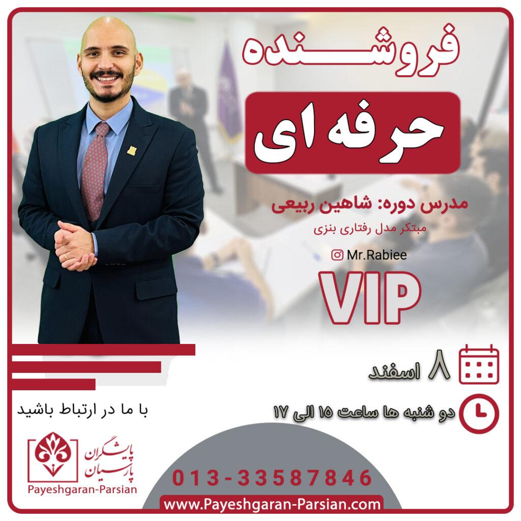 فروشنده حرفه ای