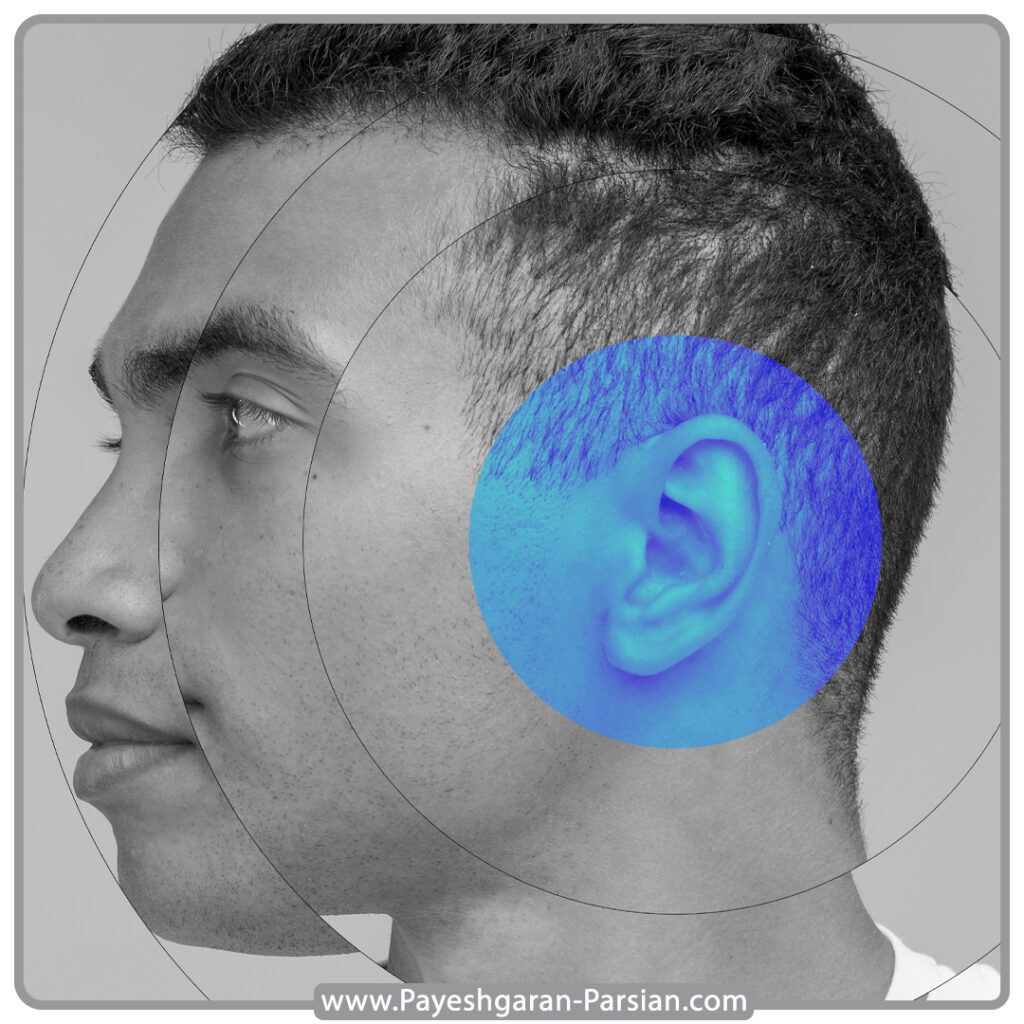 حافظه شنیداری