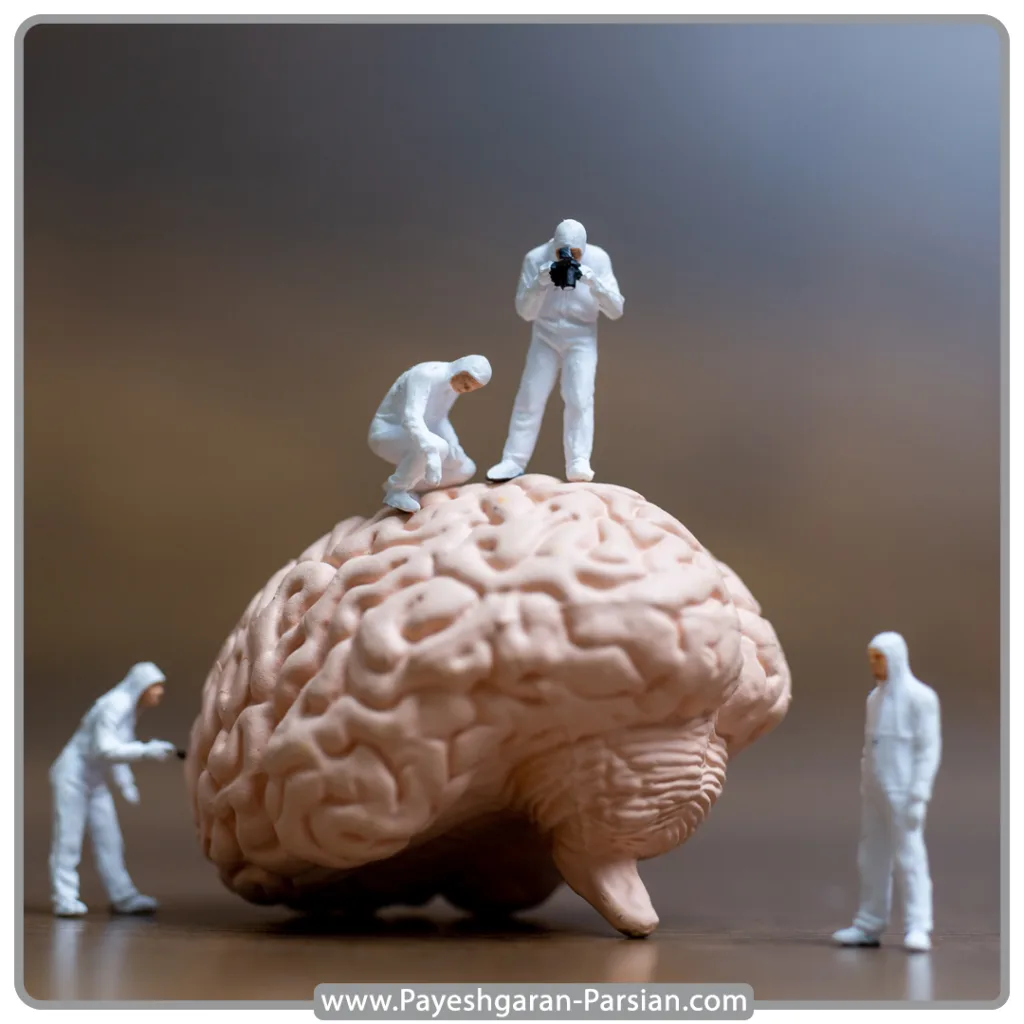 روانشناسی شناختی