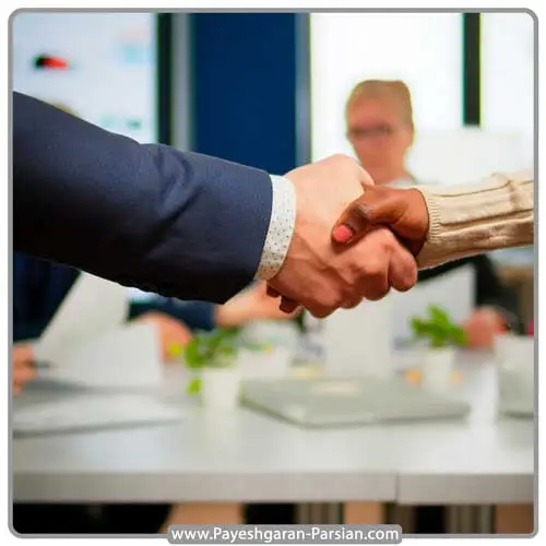 تسلط حرفه ای در گفتگو